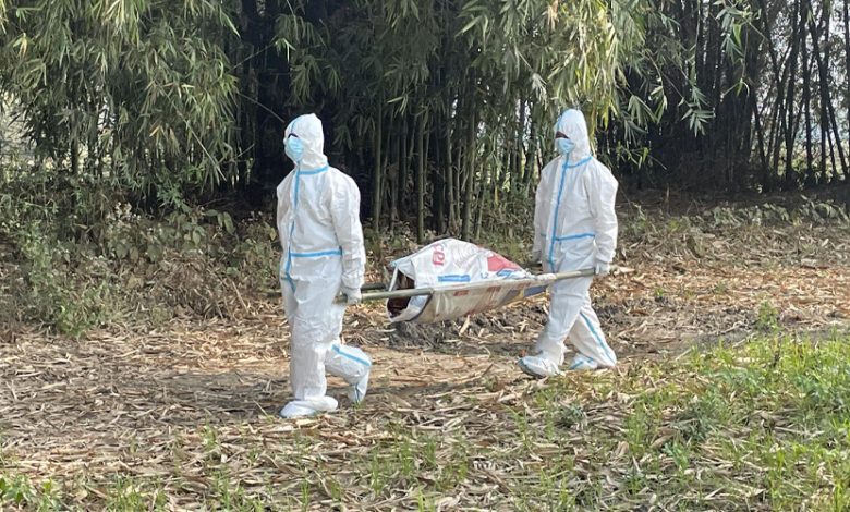 Bird flu confirmed in five poultry farms in Morang – Public Service ...