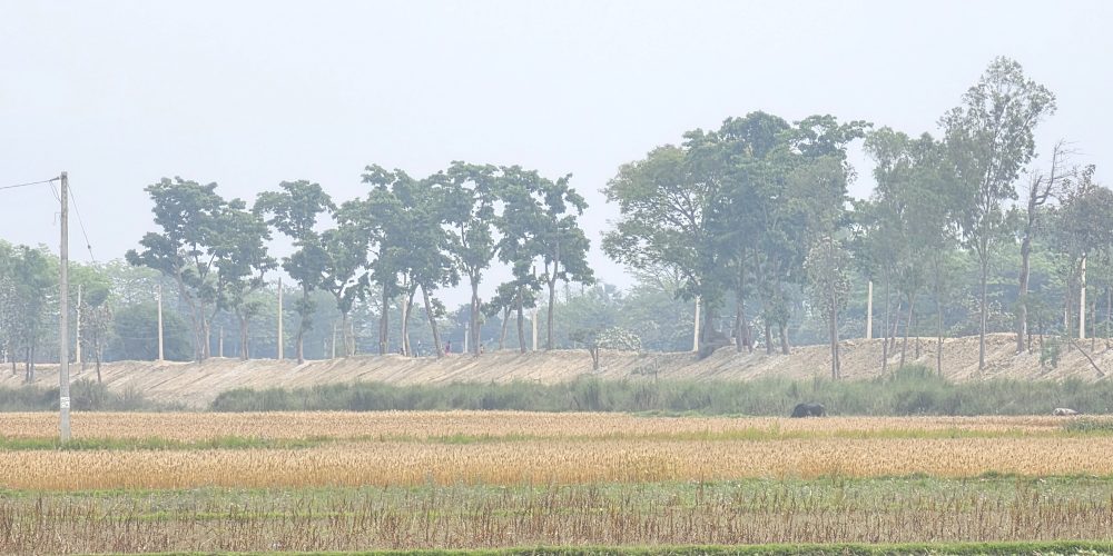 सीमा क्षेत्रको बाँध अग्लो बनाउँदा, गौर डुबानको जोखिममा